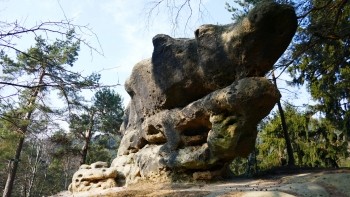 Jonsdorfer Felsenstadt – Krokodil