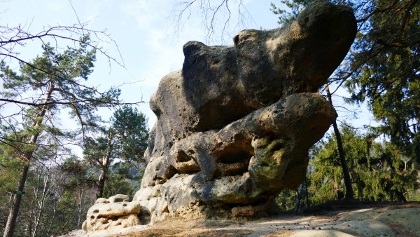 Jonsdorfer Felsenstadt – Krokodil