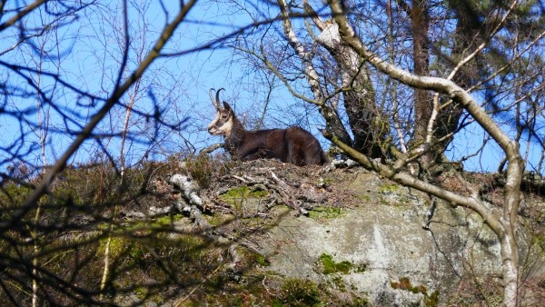 Jonsdorfer Felsenstadt